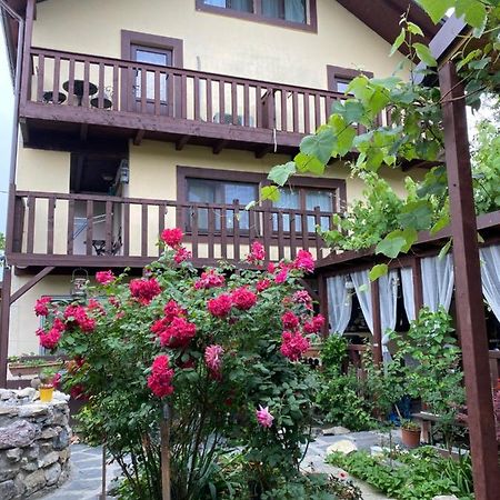 Hotel Casa Donau Delta Sulina Zewnętrze zdjęcie