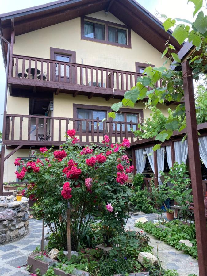 Hotel Casa Donau Delta Sulina Zewnętrze zdjęcie